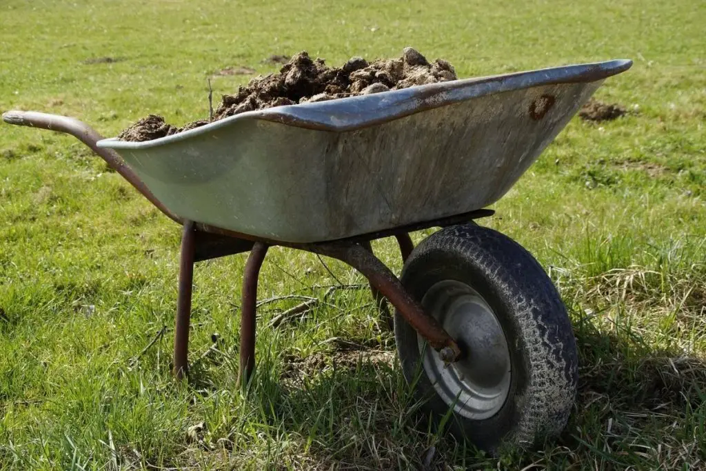 A wheelbarrow full of manure