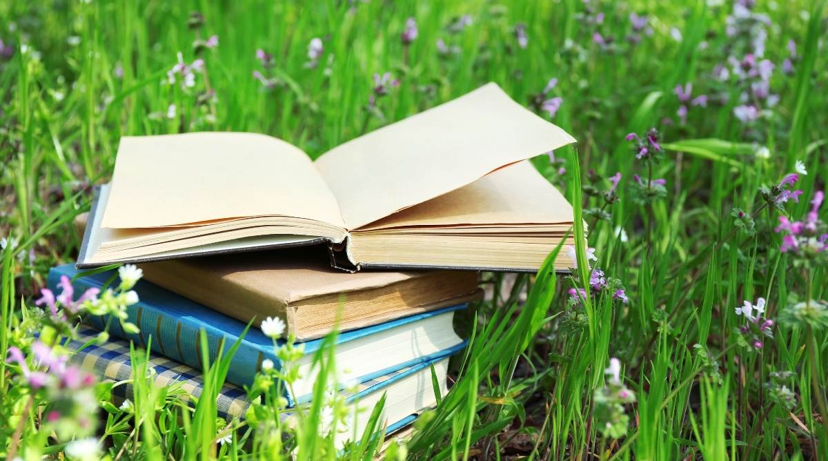 Books laying in the grass